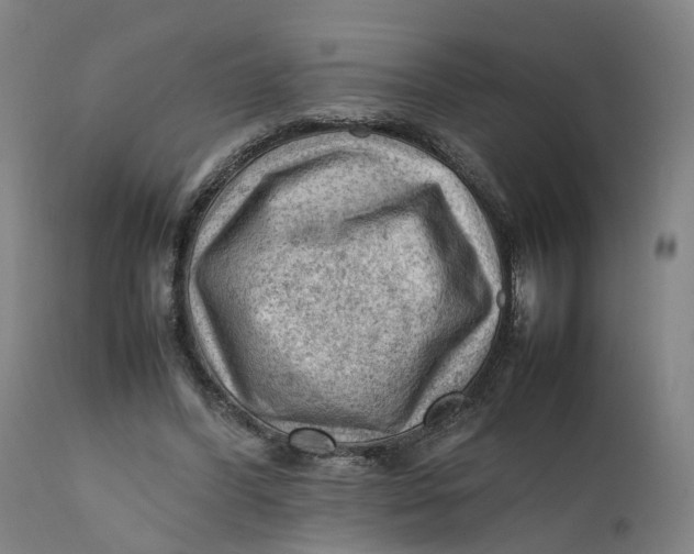 X0000111600396200908061419