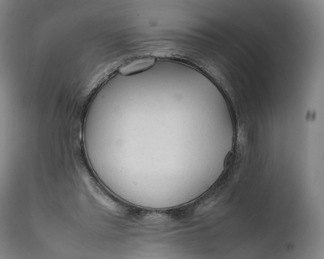 X0000111600397200908061419