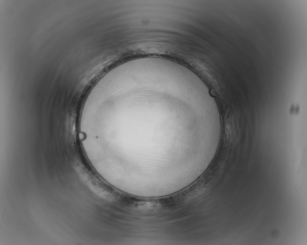 X0000111600398200908061419