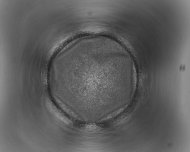 X0000111600399200908061419