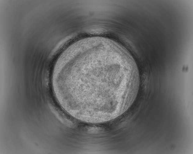 X0000111600400200908061419