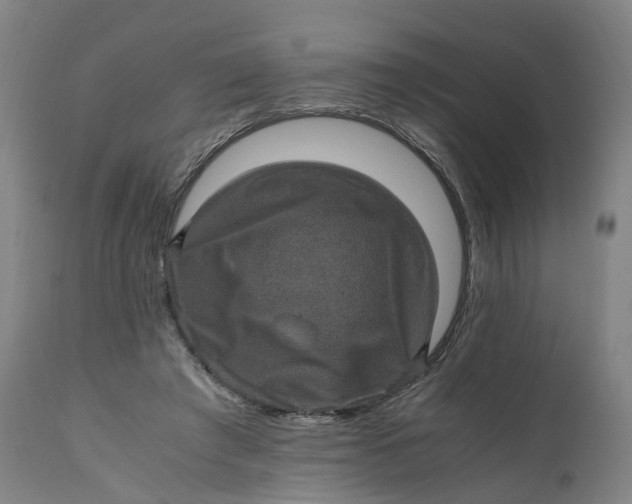 X0000111600401200908061419