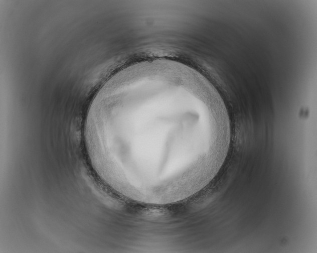 X0000111600402200908061419