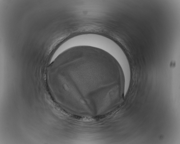 X0000111600403200908061419