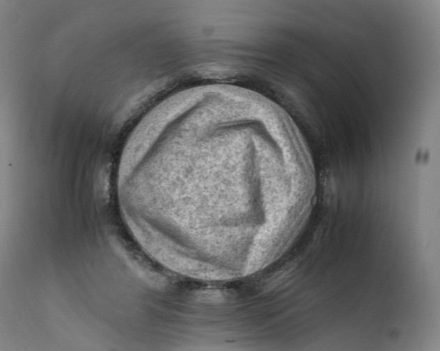 X0000111600404200908061419