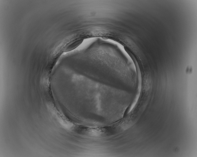 X0000111600405200908061419