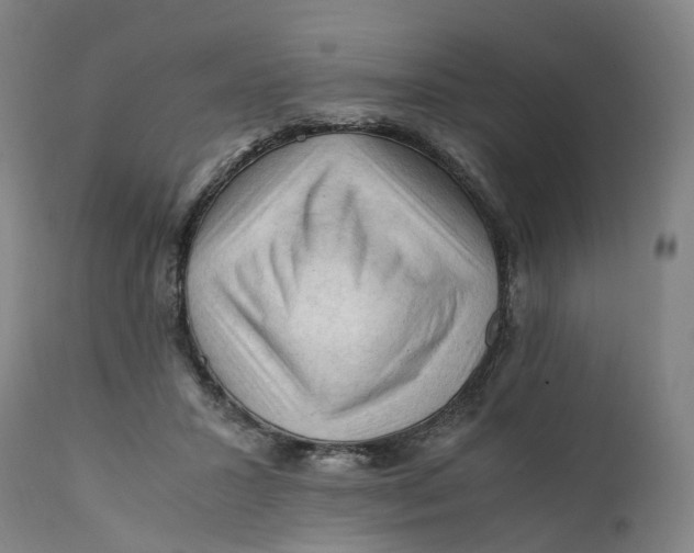X0000111600407200908061419