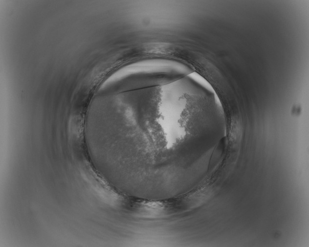 X0000111600409200908061419