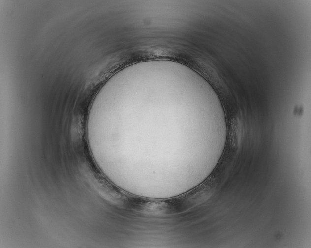 X0000111600410200908061419