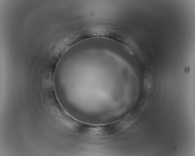 X0000111600411200908061419