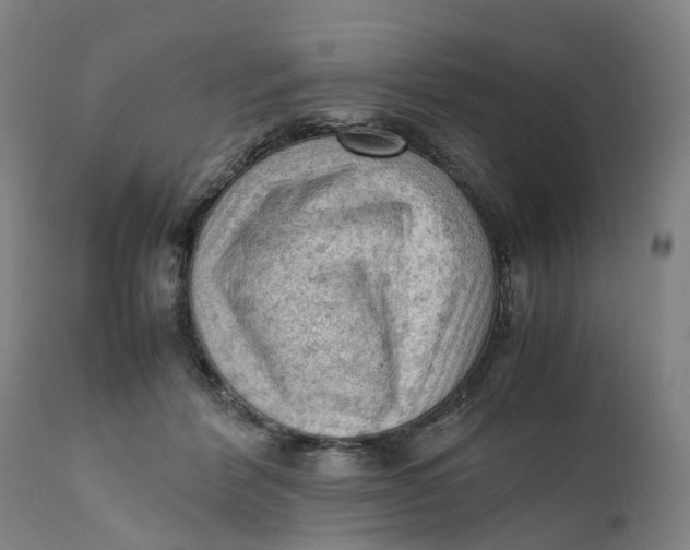 X0000111600412200908061419
