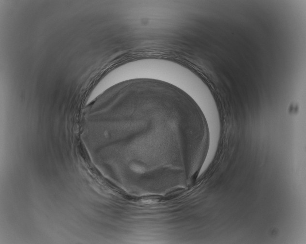 X0000111600413200908061419