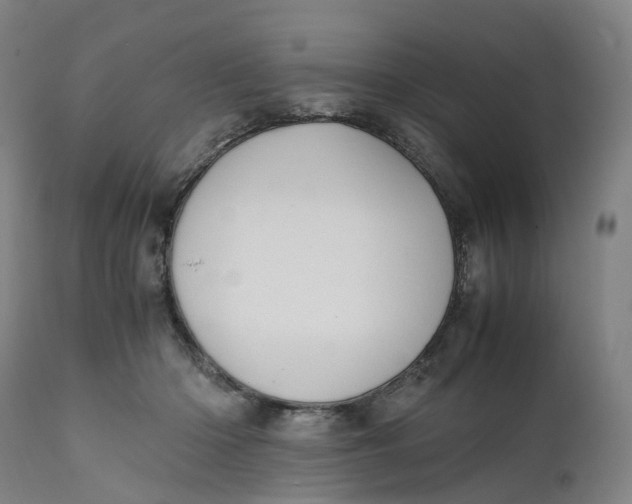 X0000111600414200908061419
