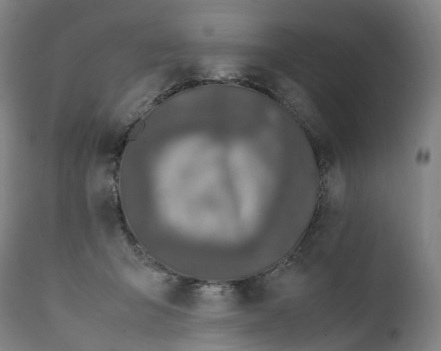 X0000111600415200908061419