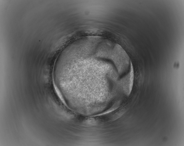 X0000111600416200908061419