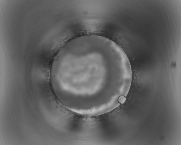 X0000111600419200908061419