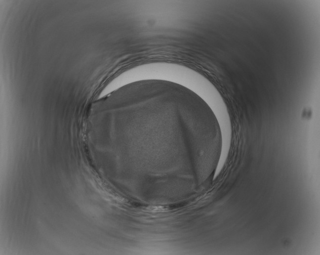 X0000111600421200908061419