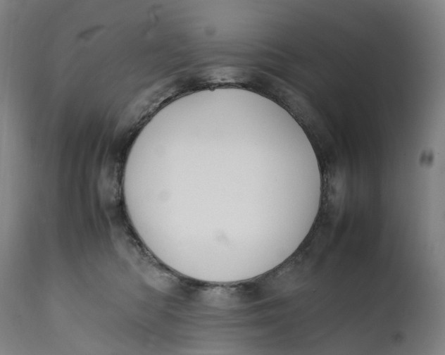 X0000111600422200908061419