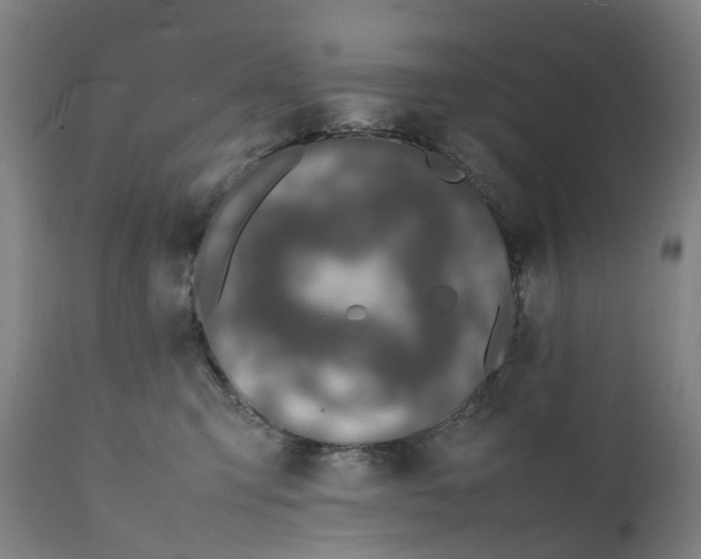 X0000111600423200908061419