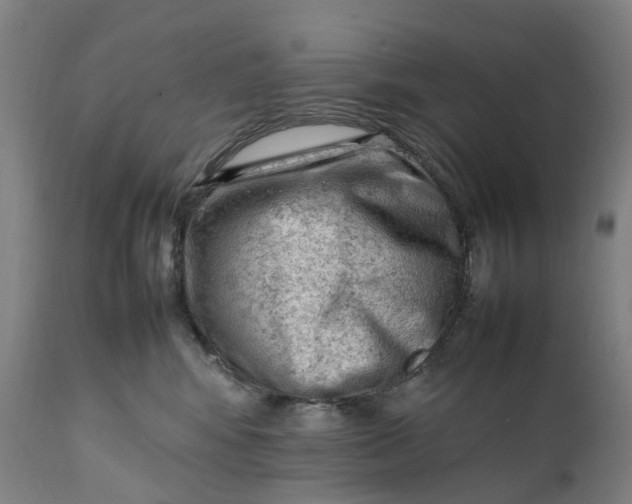 X0000111600424200908061419