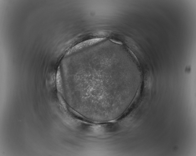 X0000111600425200908061419
