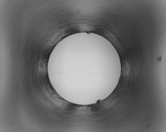 X0000111600426200908061418