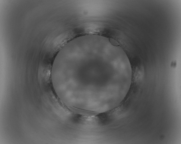 X0000111600427200908061418