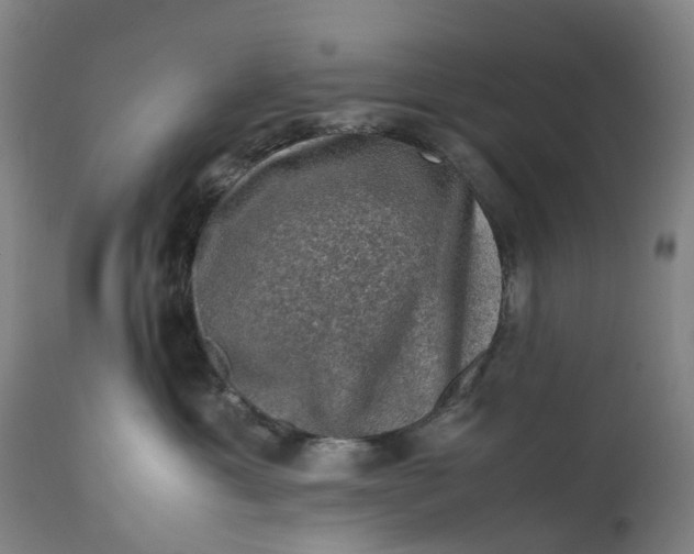 X0000111600429200908061418