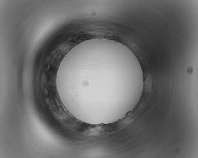 X0000111600430200908061418