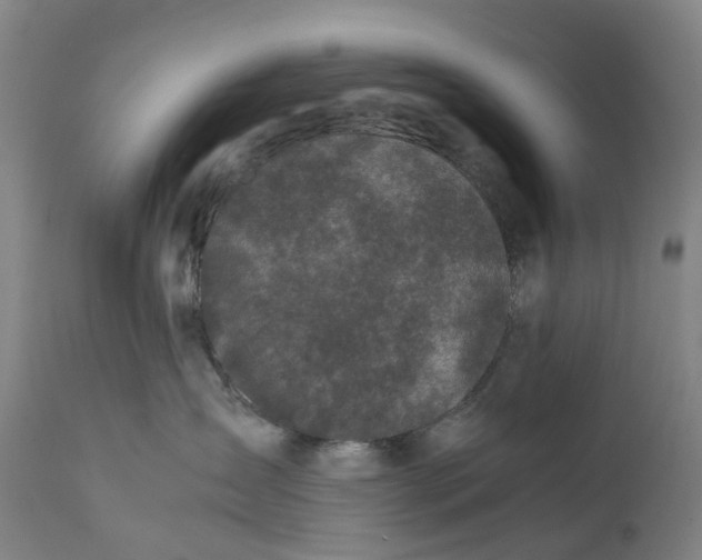 X0000111600431200908061418