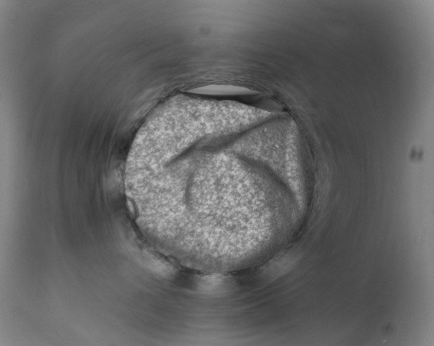 X0000111600432200908061418