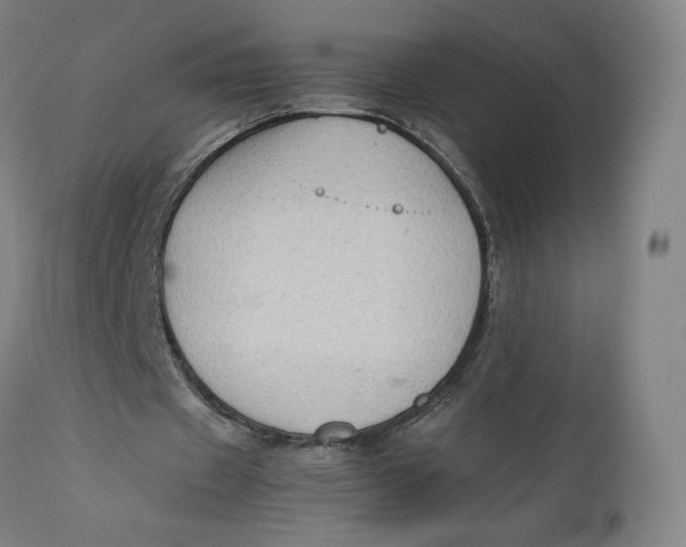 X0000111600433200908061418