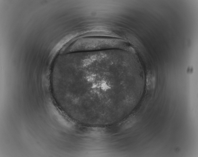 X0000111600436200908061418