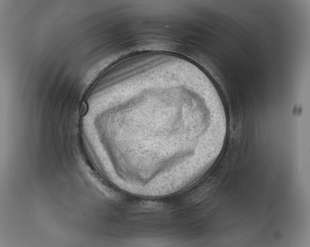 X0000111600437200908061418