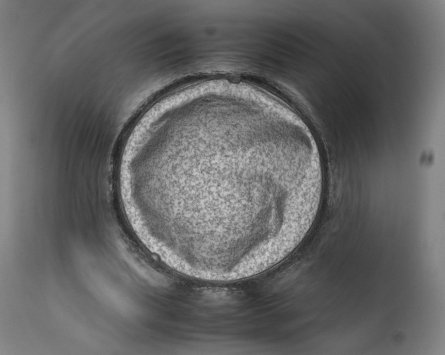 X0000111600439200908061418