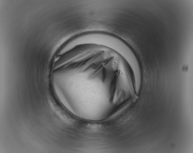 X0000111600440200908061418
