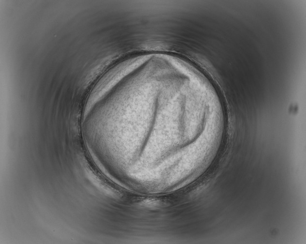 X0000111600441200908061418