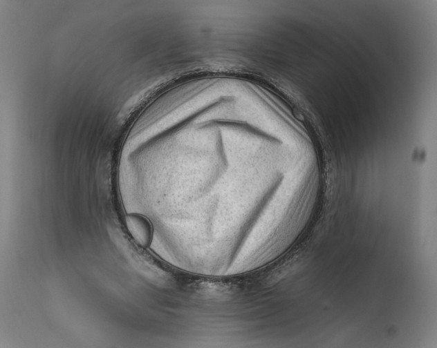 X0000111600442200908061418