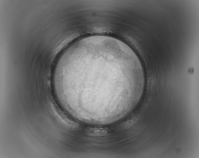 X0000111600443200908061418