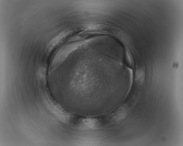 X0000111600444200908061418