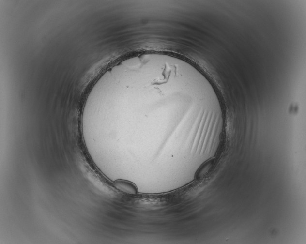 X0000111600445200908061418