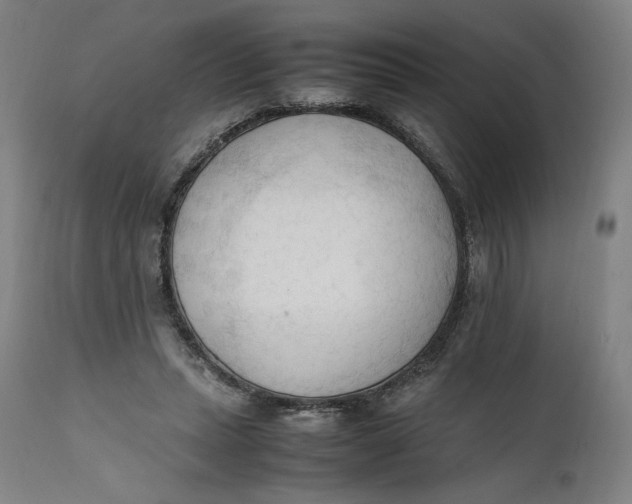 X0000111600447200908061418