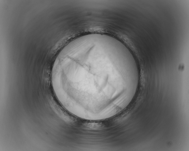X0000111600449200908061418