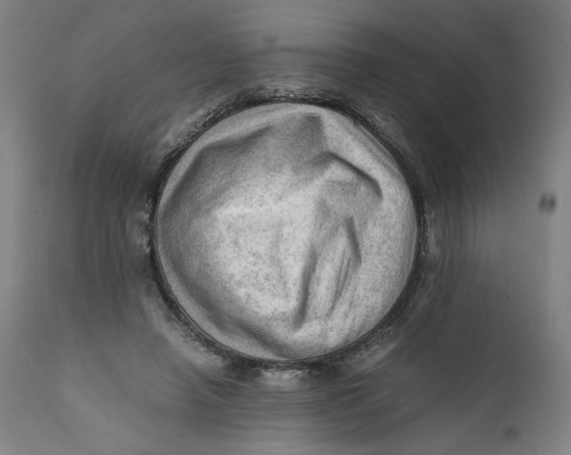 X0000111600450200908061418
