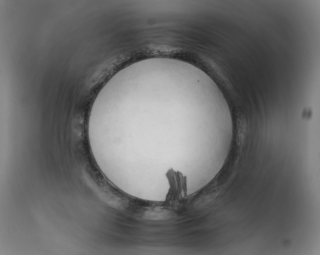 X0000111600451200908061418