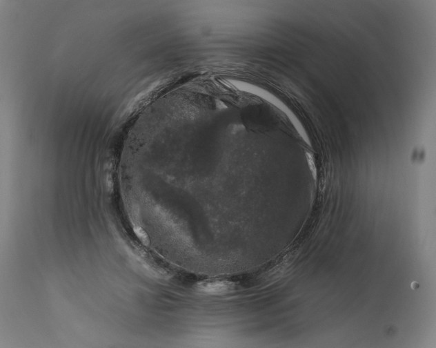 X0000111600452200908061418