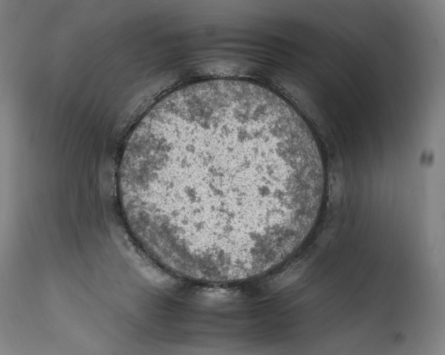 X0000111600453200908061418