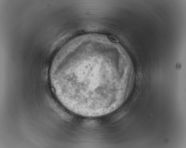 X0000111600454200908061418