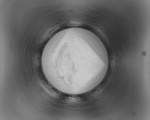 X0000111600455200908061418