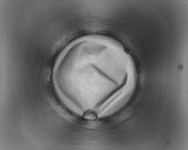 X0000111600458200908061418